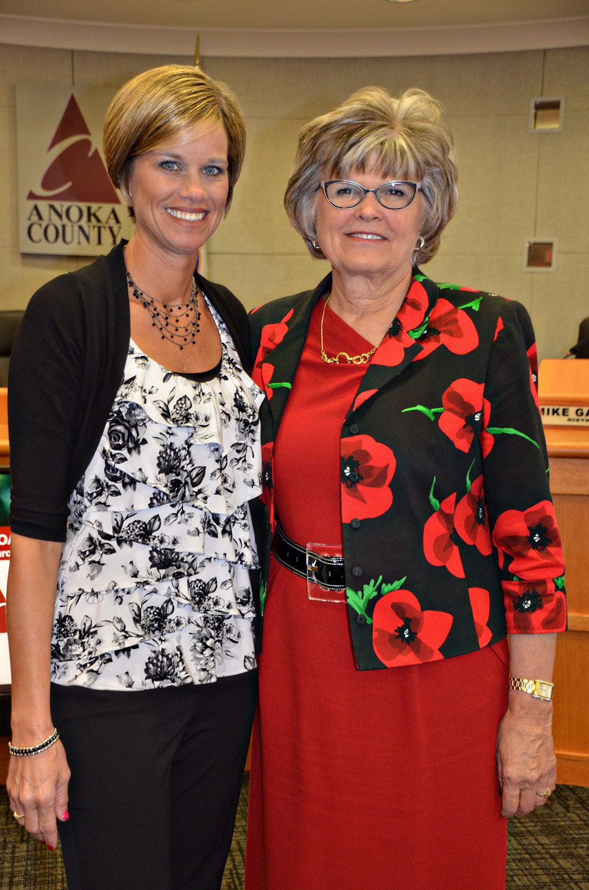 2016 Anoka County Awards of Excellence